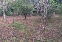 Terreno para Sítio Terreno para Sítio