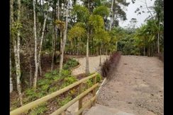 Terreno para Chácara ou Morada na Rua Marcos Baron Terreno para Chácara ou Morada na Rua Marcos Baron