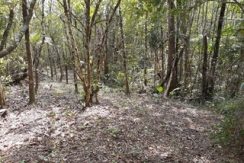Terreno na Planície Alta Terreno na Planície Alta