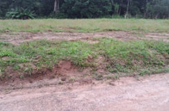 Lote na Guabiruba Sul