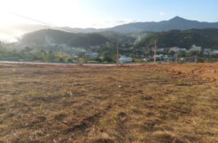 Lote no Lageado Baixo