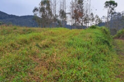Terreno para sítio na Planície Alta