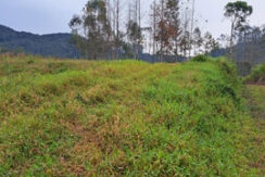 20250806_090106_Easy-Resize.com