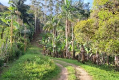 Terreno p/ Sítio ou Chácara