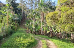 Terreno p/ Sítio ou Chácara