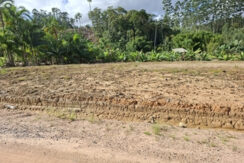 Lote pronto para construção
