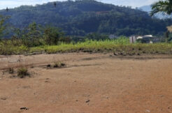 Lote no Centro