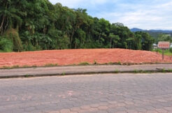 Terreno Industrial